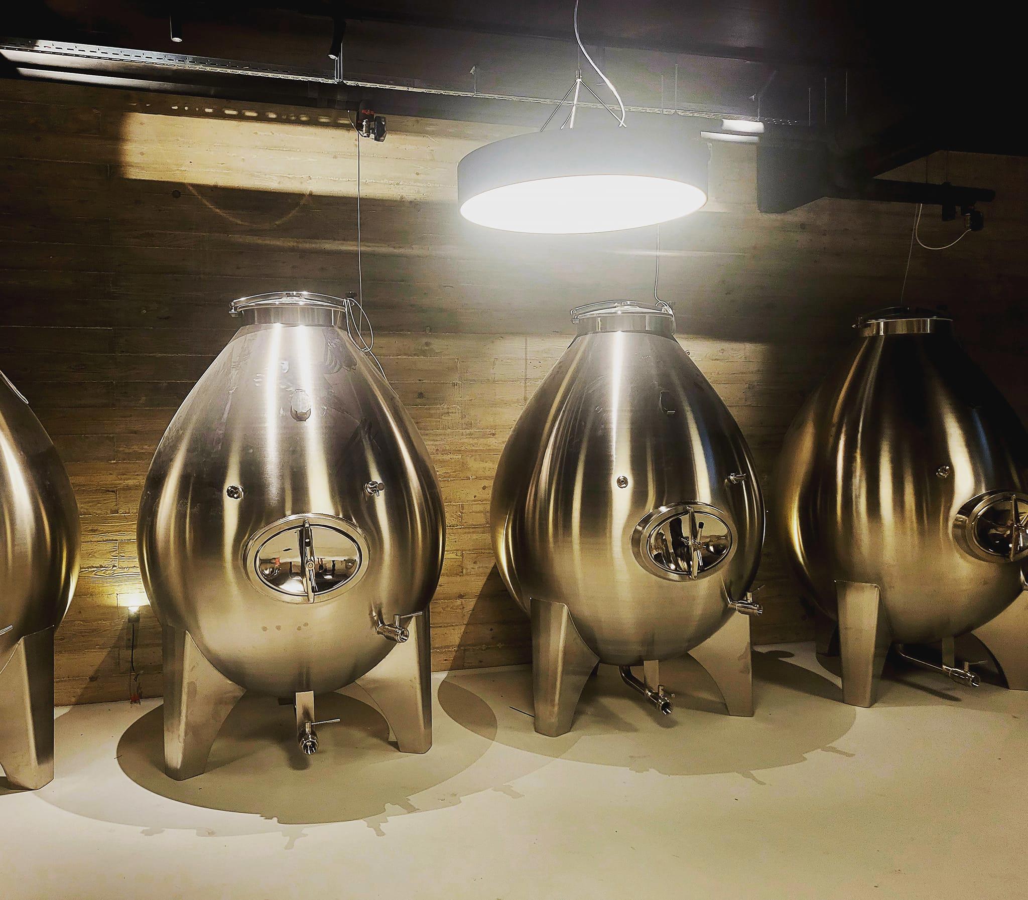 Egginox.jpg